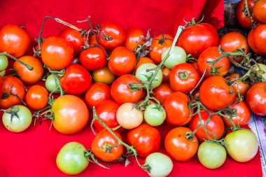 Bir grup kırmızı domates, Tayland.