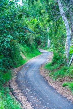 Dağdaki yol, Tayland.