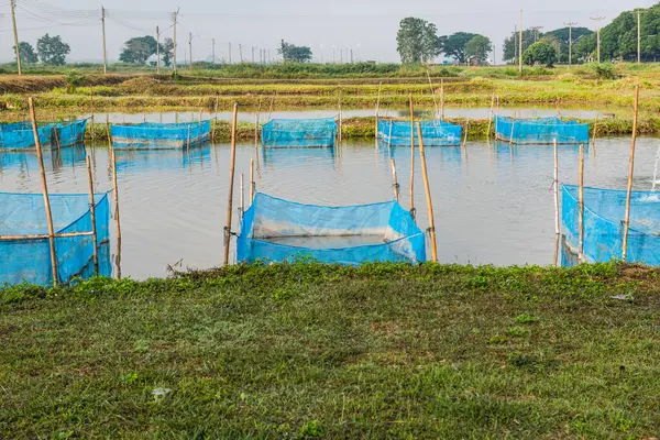 stock image Fish cages in farm, Thailand.