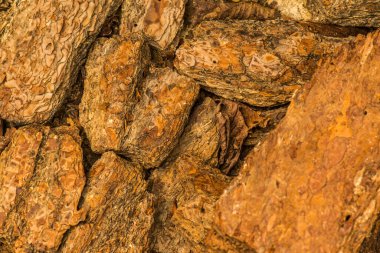 Tayland 'da kurutulmuş ot stoku..