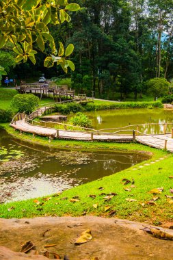 Doğal parkın manzarası, Tayland.