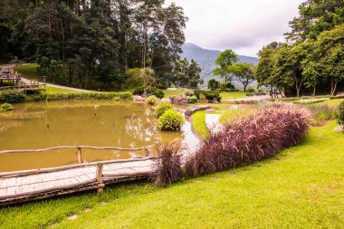 Doğal parkın manzarası, Tayland.