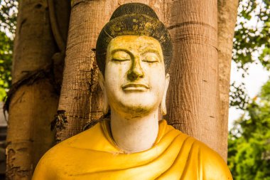 Darabhirom Ormanı Manastırı, Tayland 'daki Buda Staue..