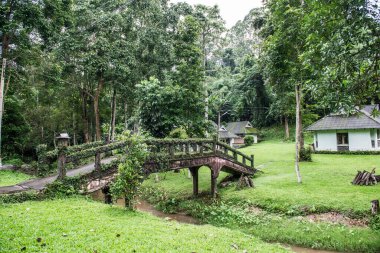 Tayland 'da küçük bir köprü..