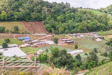 Mon Cham, Tayland 'daki dağdaki köy..