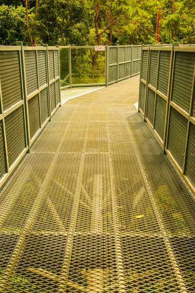 Tayland 'ın Chiangmai şehrindeki paraşüt yolu..