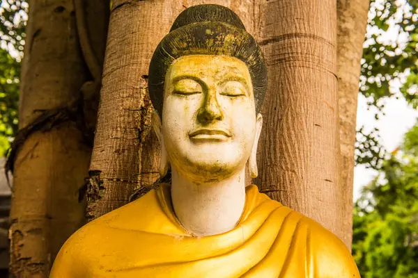 Darabhirom Ormanı Manastırı, Tayland 'daki Buda Staue..