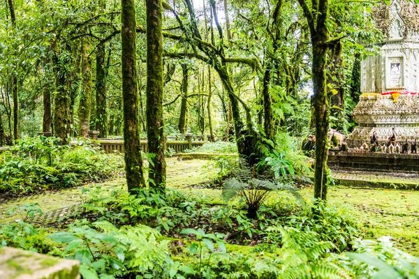Doi Inthanon Ulusal Parkı 'ndaki Kral Inthanon Anıt Tapınağı, Tayland.