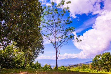 Huai Nam Dang Milli Parkı, Tayland.