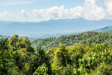 Huai Nam Dang Milli Parkı, Tayland.