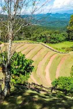 Huai Nam Dang Milli Parkı, Tayland.