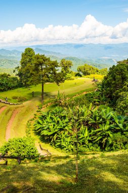 Huai Nam Dang Milli Parkı, Tayland.