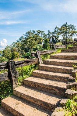 Ulusal Park, Tayland 'da beton merdiven.