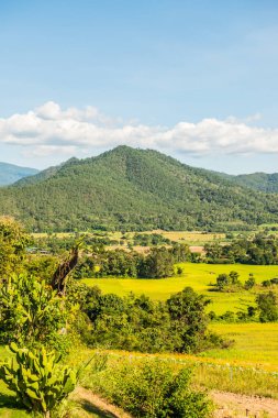 Tayland 'ın Pai şehrinde doğal manzara.