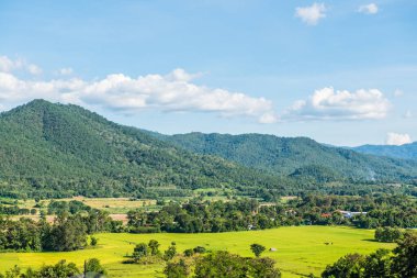 Tayland 'ın Pai şehrinde doğal manzara.