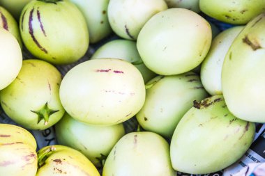 Bir grup Peppino Melon, Tayland.