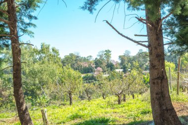 Khun Wang Kraliyet Projesi, Tayland.