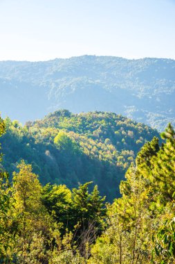 Doi Inthanon Ulusal Parkı, Tayland Dağ Manzarası.