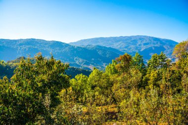 Doi Inthanon Ulusal Parkı, Tayland Dağ Manzarası.