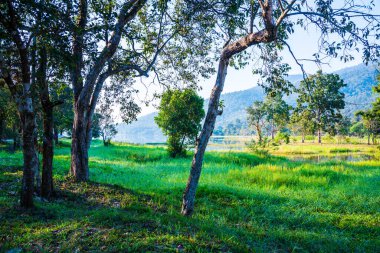 Tayland 'ın Chiangmai ilindeki Huay Tueng Tao gölünün manzara manzarası.