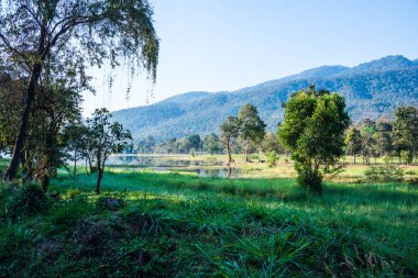 Tayland 'ın Chiangmai ilindeki Huay Tueng Tao gölünün manzara manzarası.