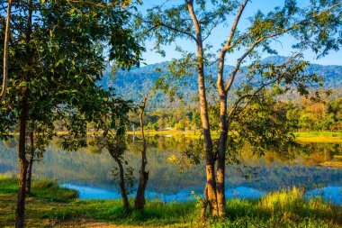 Tayland 'ın Chiangmai ilindeki Huay Tueng Tao gölünün manzara manzarası.