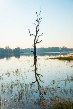 Tayland 'ın Chiangmai ilindeki Huay Tueng Tao gölünün manzara manzarası.