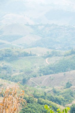 Tayland 'ın Phayao eyaletindeki dağ manzarası.