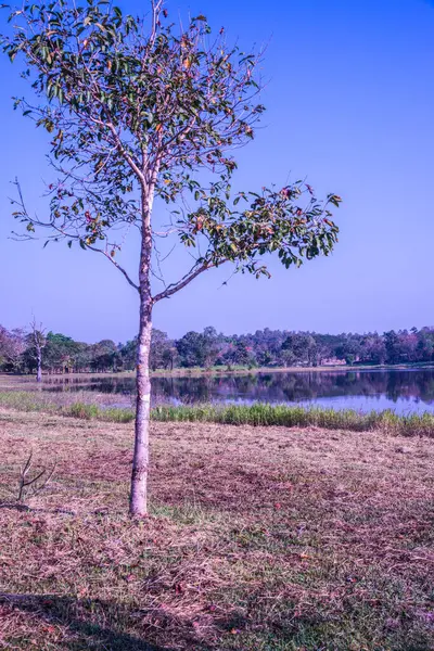 Tayland 'ın Chiangmai ilindeki Huay Tueng Tao gölünün manzara manzarası.