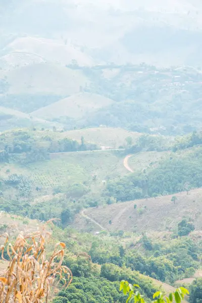 Tayland 'ın Phayao eyaletindeki dağ manzarası.