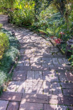 Parkta yürüyüş yolu, Tayland.