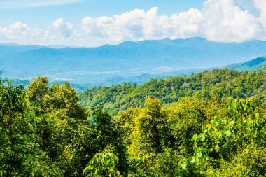 Huai Nam Dang Milli Parkı, Tayland.