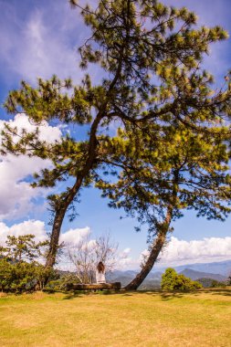 Huai Nam Dang Milli Parkı, Tayland.