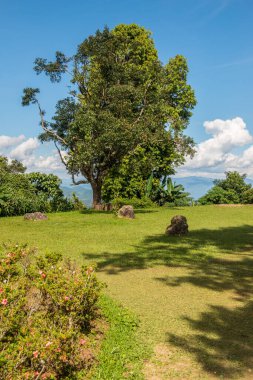 Huai Nam Dang Milli Parkı, Tayland.