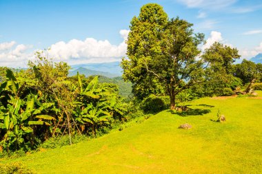 Huai Nam Dang Milli Parkı, Tayland.