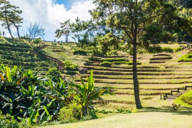 Huai Nam Dang Milli Parkı, Tayland.