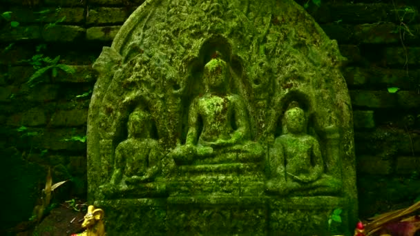 Estatuas Buda Antiguas Cubiertas Musgo Templo Provincia Chiang Mai — Vídeos de Stock