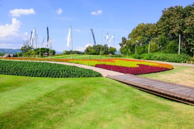 Tayland 'ın Chiang Rai eyaletindeki güzel park..