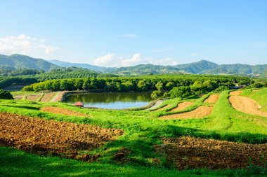 Tayland 'ın Chiang Rai eyaletindeki güzel park..