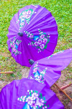 Tayland 'ın yerli şemsiyesi..