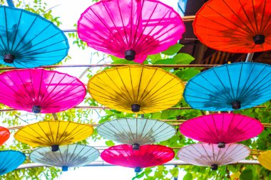 Tayland ana şemsiyesinin arka planı, Tayland.