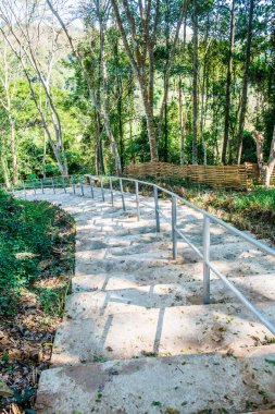 Ulusal Park, Tayland 'da beton merdiven.