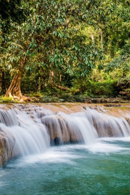 Tansawan Şelalesi Doi Phu Nang Ulusal Parkı, Tayland.