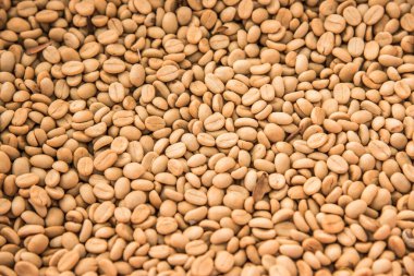 Background of coffee bean, Thailand.