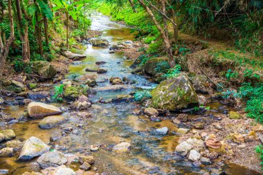 Tayland 'daki Mork Fa şelalesinde küçük bir kanal..