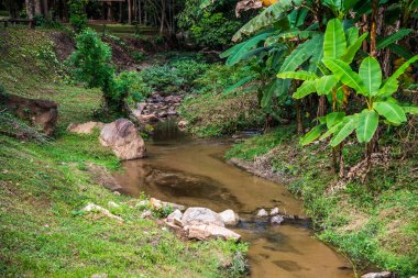 Tayland 'daki Mork Fa şelalesinde küçük bir kanal..