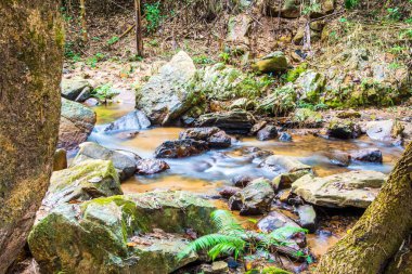 Mork Fa Şelalesi 'nde su akıyor, Tayland.