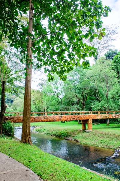 Phu Sang Ulusal Parkı, Phayao Eyaleti.