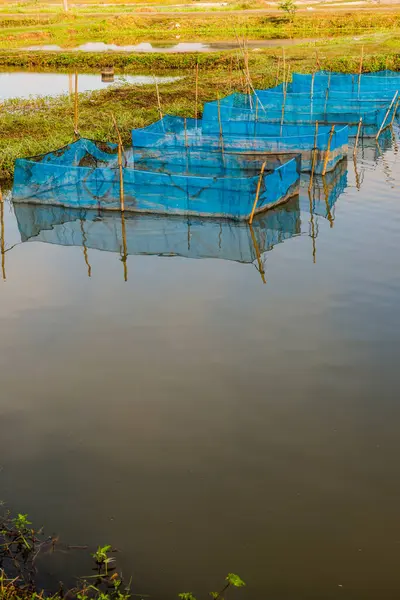 stock image Fish cages in farm, Thailand.