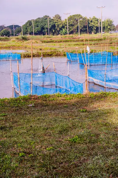 stock image Fish cages in farm, Thailand.